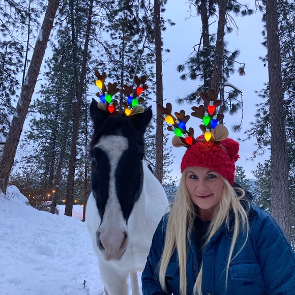 My gorgeous quarter paint Chief 💕 - Picture 2 of 8